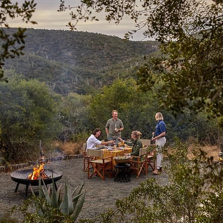 Kwandwe Private Game Reserve - Melton Manor Grahamstown Bagian luar foto